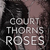 Why I so intensely dislike A Court of Thorns and Roses // Spoiler Rant Review